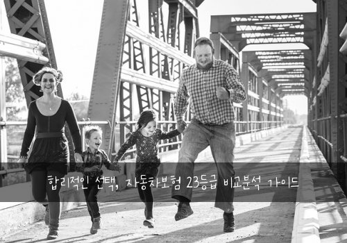  합리적인 선택, 자동차보험 23등급 비교분석 가이드