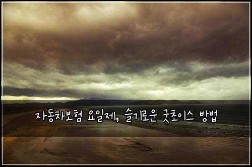 자동차보험 요일제, 슬기로운 굿초이스 방법