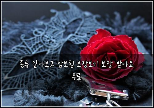 ์ข
๋ฅ ์์๋ณด๊ณ ์๋ณดํ ๋ณด์ฅ๋ณด๊ธฐ ๋ณด์ฅ ๋ฐ์์ ๋ฌด๋ฃ