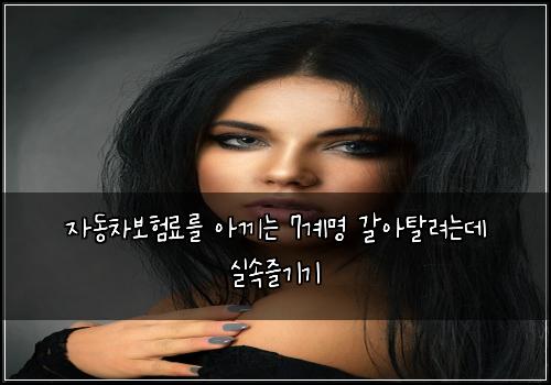 자동차보험료를 아끼는 7계명 갈아탈려는데 실속즐기기