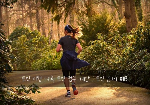 토익 시험 계획 토익 점수 계산 : 토익 문제 #113