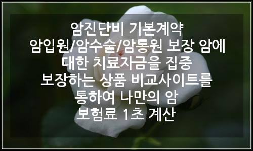 오늘의 이미지