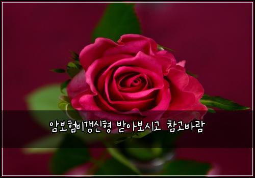 μ보νλΉκ°±μ ν λ°μ보μκ³ μ°Έκ³ λ°λ