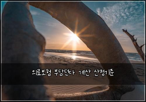 의료보험 부담던다  계산 산정기준