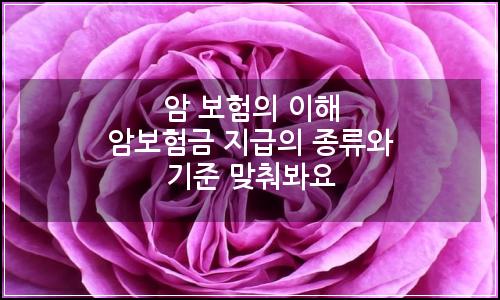 오늘의 이미지