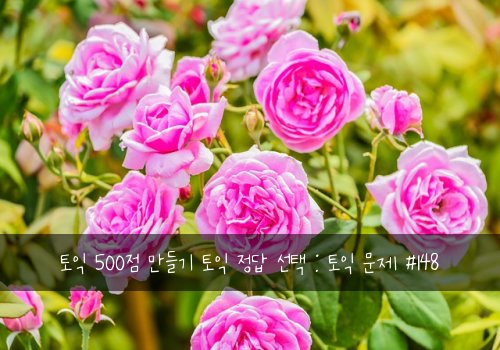 토익 500점 만들기 토익 정답 선택 : 토익 문제 #148