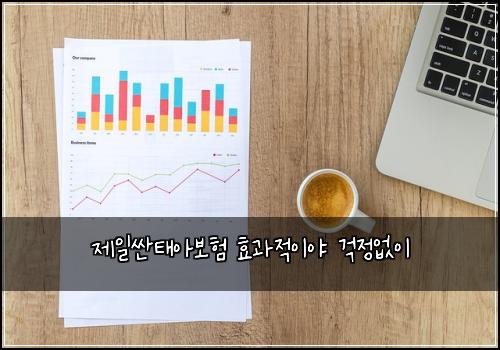 제일싼태아보험 효과적이야  걱정없이