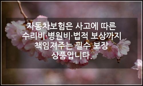 오늘의 이미지
