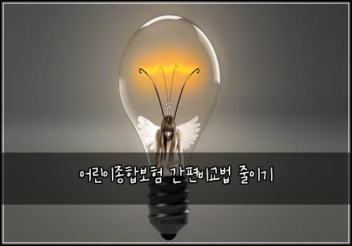 어린이종합보험 간편비교법  줄이기