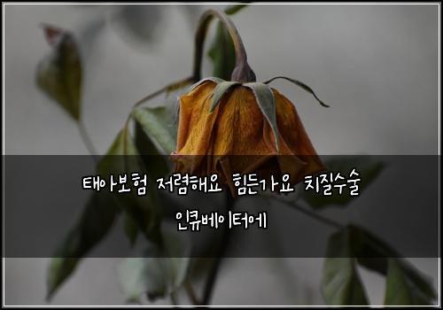태아보험 저렴해요  힘든가요 치질수술 인큐베이터에