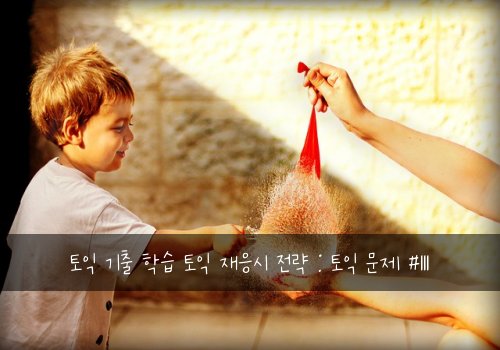 토익 기출 학습 토익 재응시 전략 : 토익 문제 #111