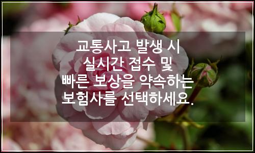 오늘의 이미지