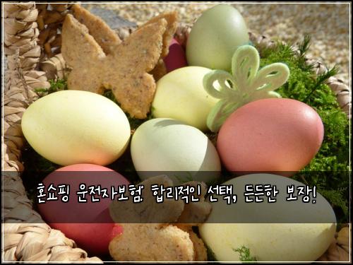 혼쇼핑 운전자보험: 합리적인 선택, 든든한 보장!