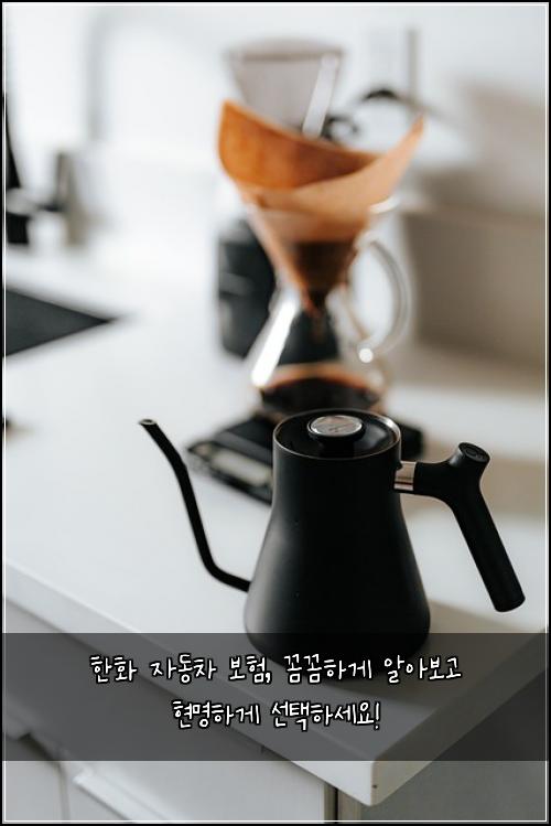 한화 자동차 보험, 꼼꼼하게 알아보고 현명하게 선택하세요!