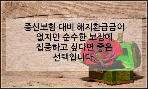 오늘의 이미지