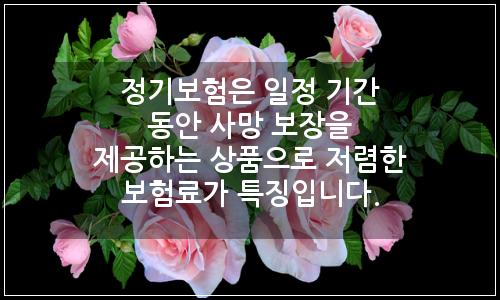 오늘의 이미지