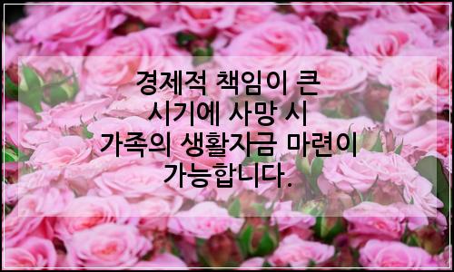 오늘의 이미지