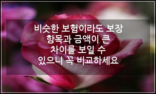 오늘의 이미지