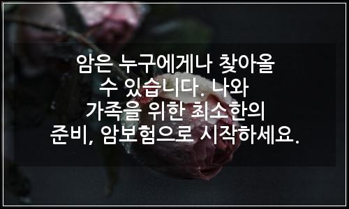 오늘의 이미지