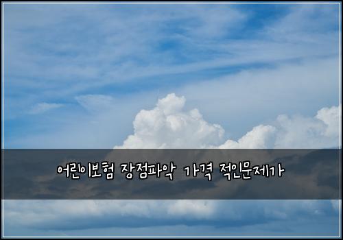 ์ด๋ฆฐ์ด๋ณดํ ์ฅ์ ํ์
๊ฐ๊ฒฉ ์ ์ธ๋ฌธ์ ๊ฐ