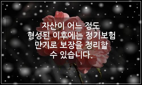오늘의 이미지