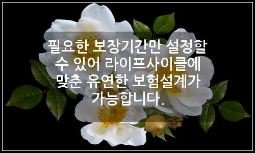오늘의 이미지