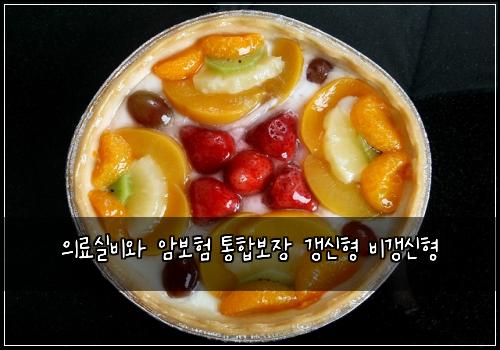 의료실비와 암보험 통합보장  갱신형 비갱신형