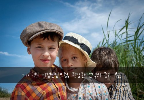 다이렉트 비갱신암보험, 현명한 선택의 중요 부분