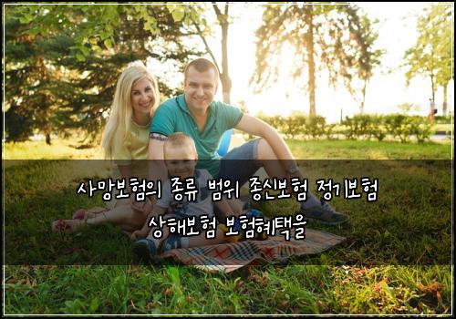 ์ฌ๋ง๋ณดํ์ ์ข
๋ฅ ๋ฒ์ ์ข
์ ๋ณดํ ์ ๊ธฐ๋ณดํ ์ํด๋ณดํ ๋ณดํํํ์
