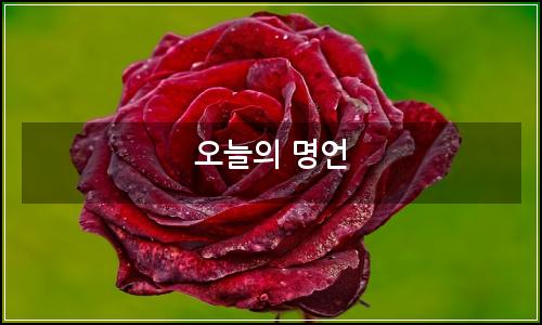오늘의 이미지