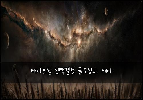 ํ์๋ณดํ ์ ํ๊ฒฐ์ ํ์์ฑ๊ณผ ํ์