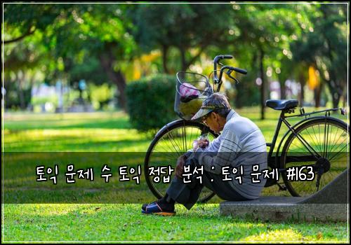 토익 문제 수 토익 정답 분석 : 토익 문제 #163