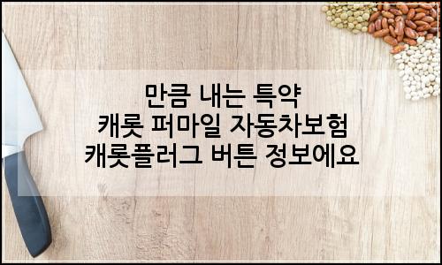 오늘의 이미지