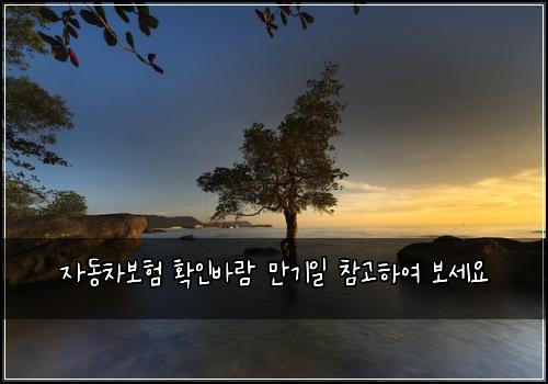 자동차보험 확인바람  만기일 참고하여 보세요