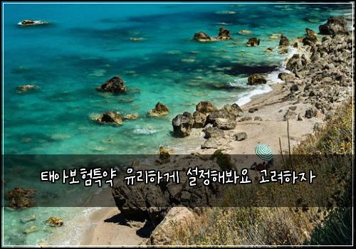 태아보험특약 유리하게 설정해봐요 고려하자