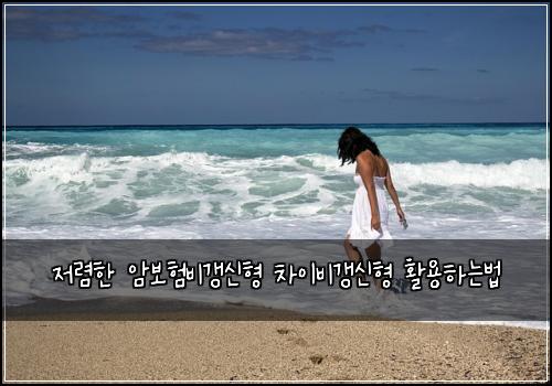 저렴한 암보험비갱신형 차이비갱신형 활용하는법