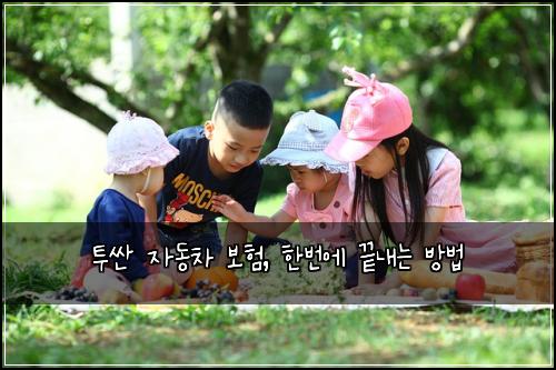 투싼 자동차 보험, 한번에 끝내는 방법