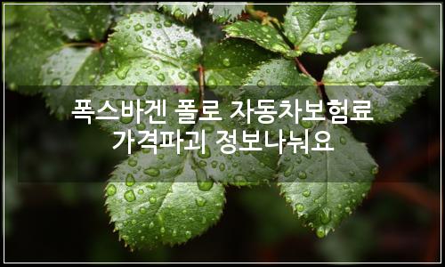 오늘의 이미지