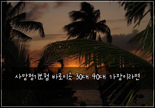 사망정기보험 바로이곳  30대 40대 가장이라면