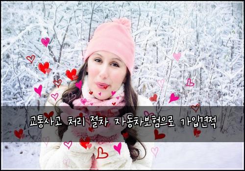๊ตํต์ฌ๊ณ ์ฒ๋ฆฌ ์ ์ฐจ ์๋์ฐจ๋ณดํ์ผ๋ก ๊ฐ์
๊ฒฌ์ 