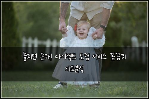  놓치면 손해! 다이렉트 보험 서비스 꼼꼼히 비교분석