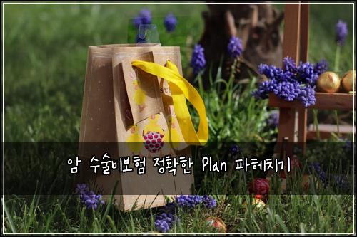 암 수술비보험 정확한 Plan 파헤치기