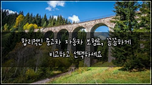  합리적인 중고차 자동차 보험료, 꼼꼼하게 비교하고 선택하세요