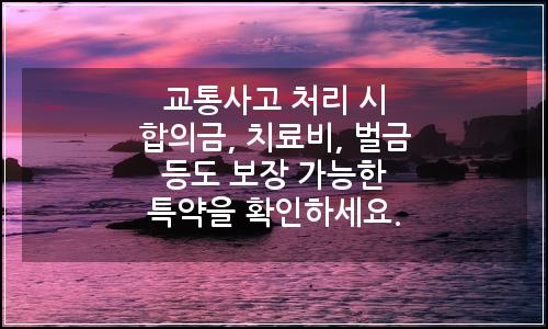 오늘의 이미지