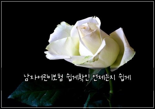 남자어린이보험 쉽게확인  언제든지 쉽게