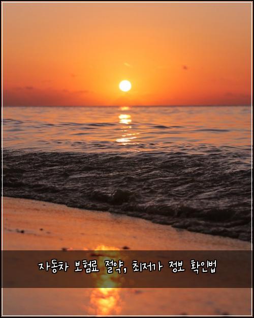 자동차 보험료 절약, 최저가 정보 확인법