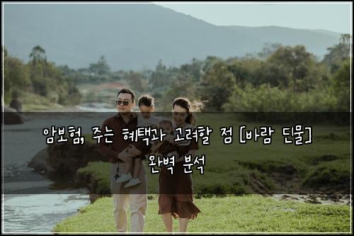 암보험, 주는 혜택과 고려할 점 [바람 딘물] 완벽 분석