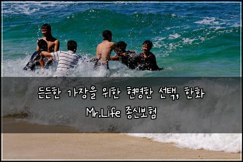  든든한 가장을 위한 현명한 선택, 한화 Mr.Life 종신보험