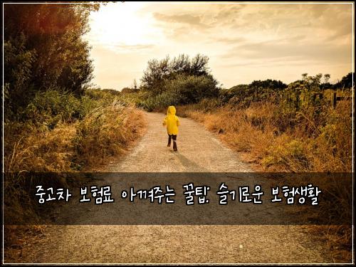 중고차 보험료 아껴주는 꿀팁: 슬기로운 보험생활