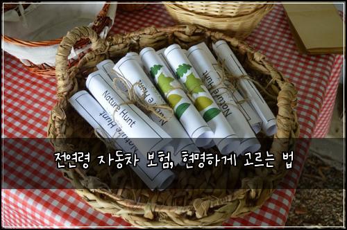 전연령 자동차 보험, 현명하게 고르는 법